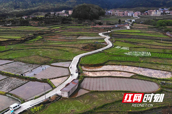 西瑶乡寺湾村水稻种植基地航拍.JPG