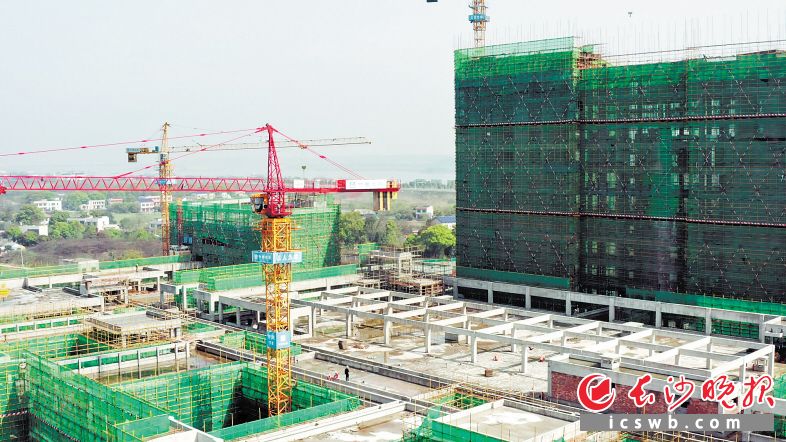 　　3月28日，望城区人民医院整体搬迁项目主体结构顺利封顶。 　　长沙晚报全媒体记者 王志伟 通讯员 刘军 摄影报道