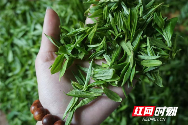 97e5d3fecdd34cf78bb8e40027ebcdb.jpg 97e5d3fecdd34cf78bb8e40027ebcdb.jpg