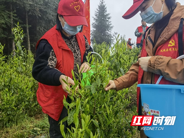 图片3.jpg