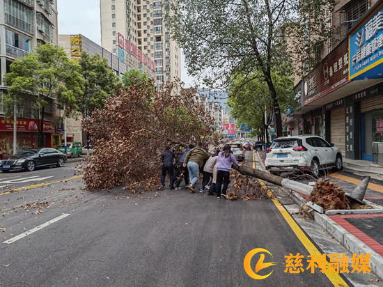 微信图片_20220331105704.jpg