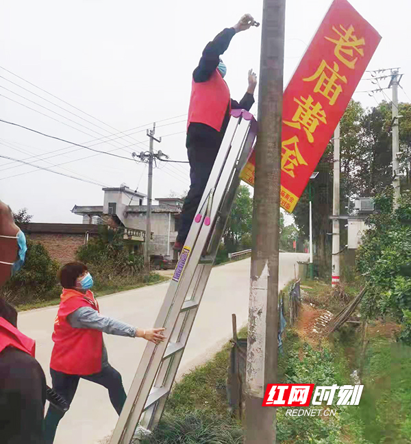 微信图片_20220331172233 副本.jpg