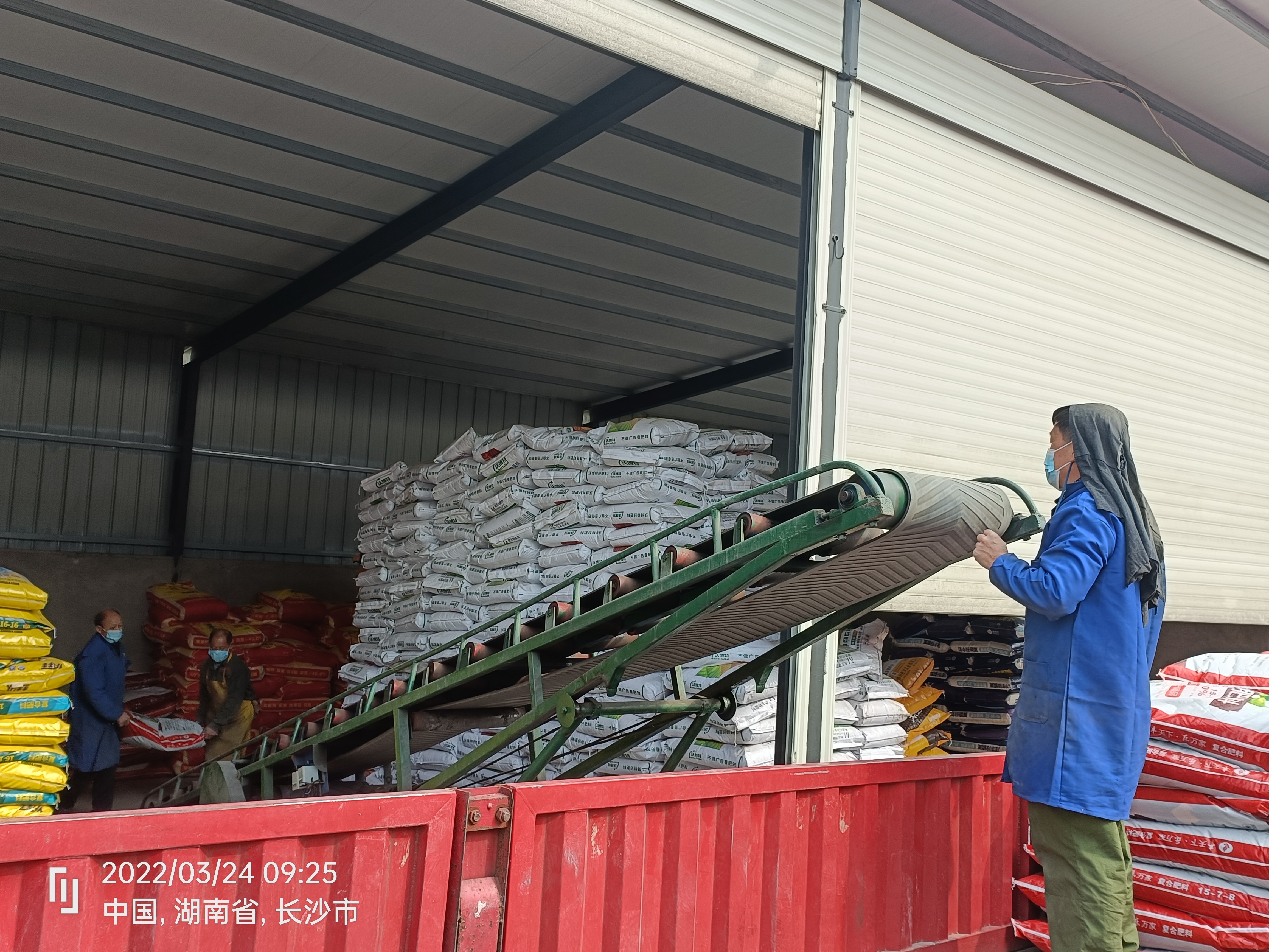 浏阳市供销社农资公司的化肥在装车发往田间地头。