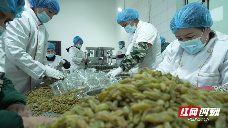 西门村科技民生产业园引进了葡萄干精深加工企业，吸纳了60名村民就业。1.jpg