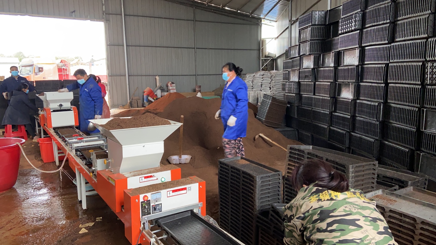 宁乡市供销社龙泉湖水稻工厂化育秧生产正在投入运营。
