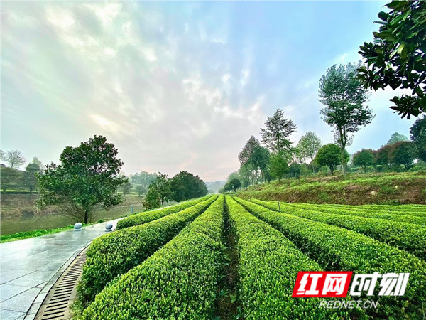 8609d9a359c1d6c773c9834f3f2f2e6.jpg 8609d9a359c1d6c773c9834f3f2f2e6.jpg