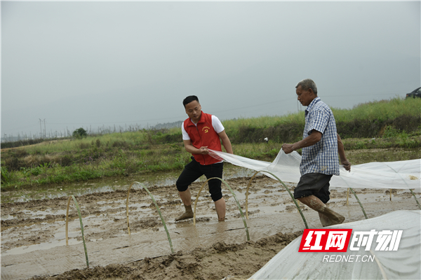 江永：党员带头促生产 防疫不忘复耕忙