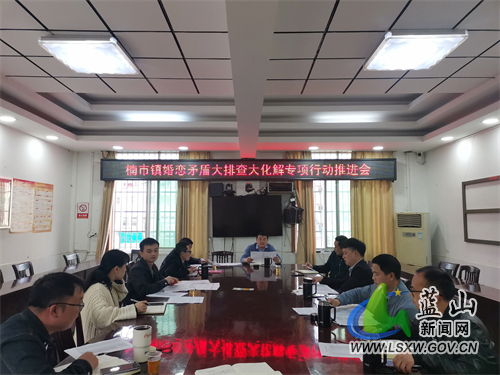 楠市镇开展婚姻家庭矛盾纠纷大排查.jpg