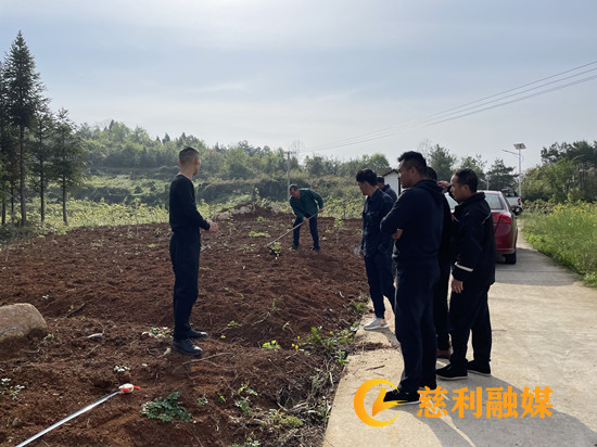 种植现场_副本1.jpg 种植现场_副本1.jpg