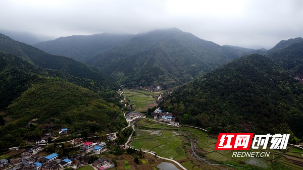 DJI_0743.JPG