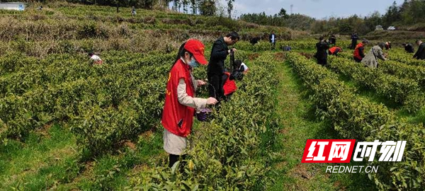 图片3.jpg 图片3.jpg