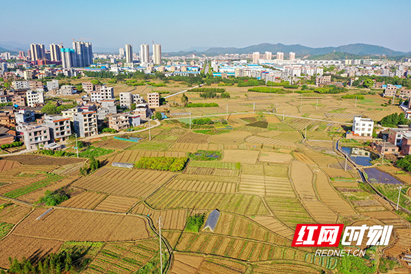 DJI_0687.jpg DJI_0687.jpg