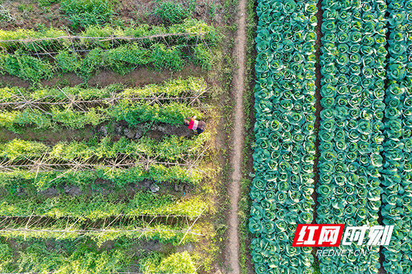 DJI_0725.jpg DJI_0725.jpg