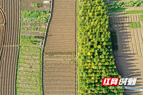 DJI_0620.jpg DJI_0620.jpg