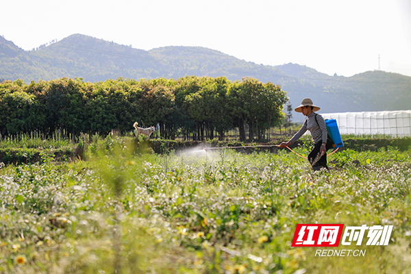 _MG_1117.jpg _MG_1117.jpg