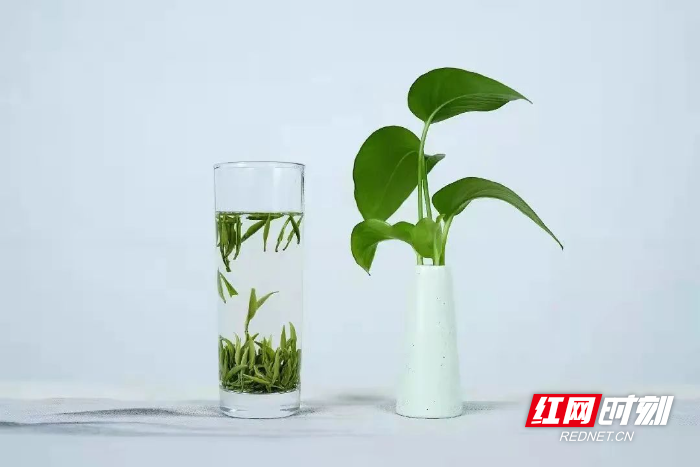 微信图片_202204041625316.jpg