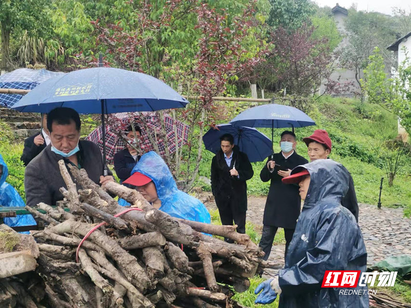 24844c900f98bbb3d433d408387c431_副本.jpg