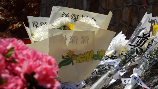 （新媒体）衡山：为并肩抗疫“战友”扫墓 传承宋英杰精神130.png