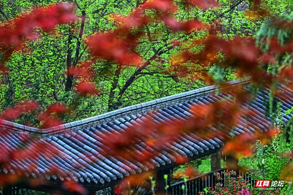 000951cynrbbrn6qncbh8g.jpg 000951cynrbbrn6qncbh8g.jpg