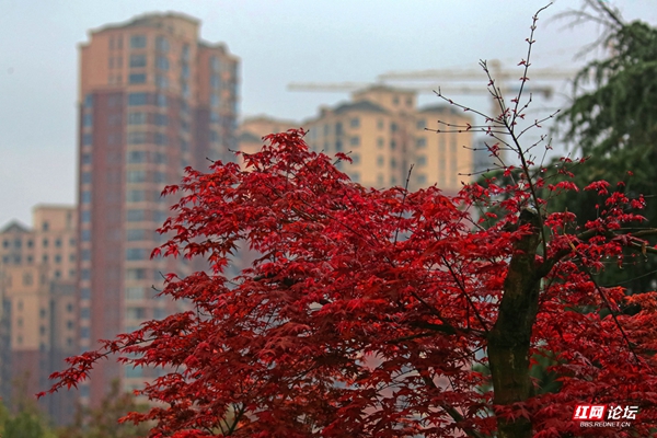 000948c66z1icui3ae761c.jpg 000948c66z1icui3ae761c.jpg