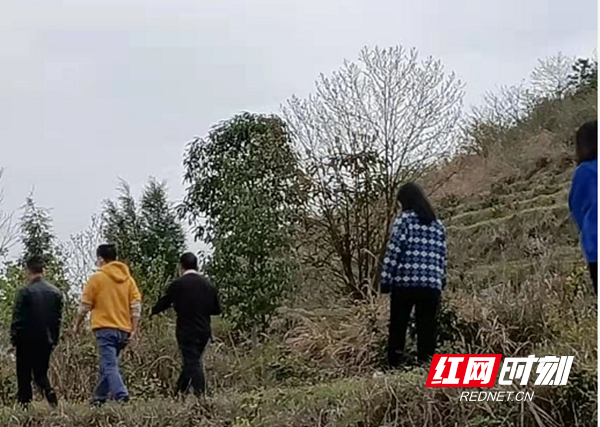 图片11.jpg