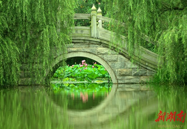 赓续红色血脉　勇担育人使命