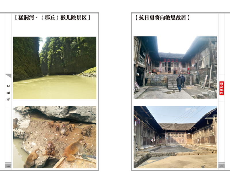 图片3_副本.png