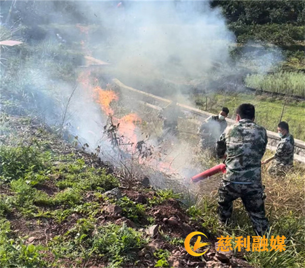 扑火 (2)_副本.jpg