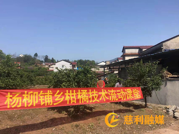 58cf435d3cedc9b63cd855f7e4a5d80_副本.jpg