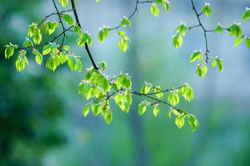 山水汝阳,生态宜居。康向东摄