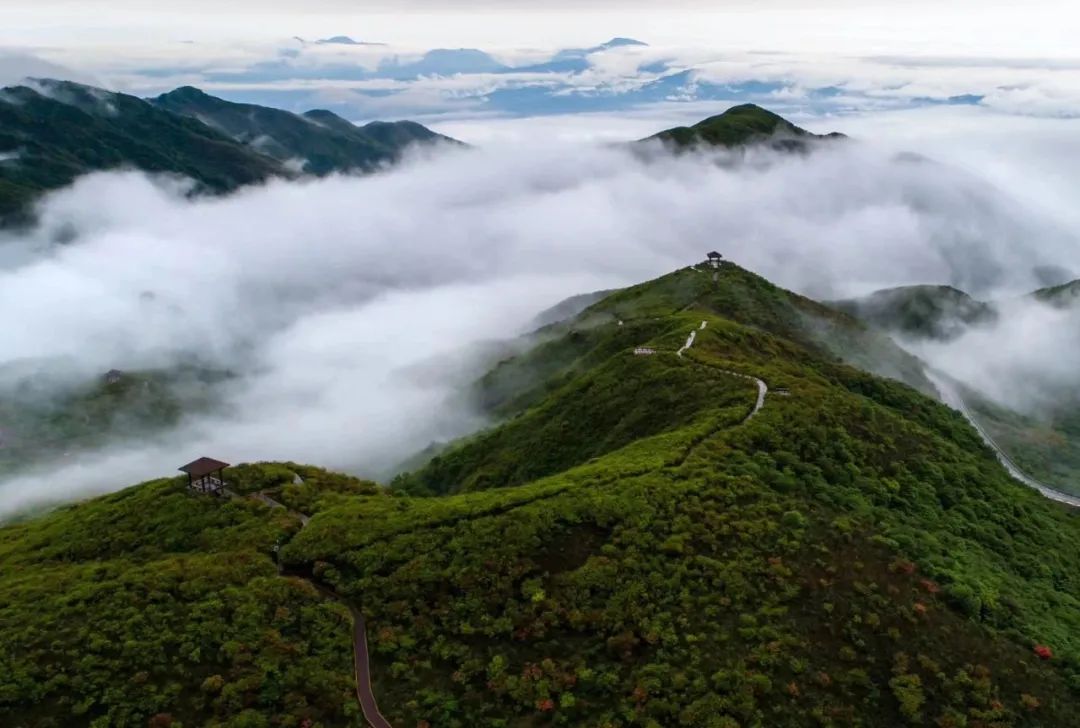 恢复对外开放！湖南多个景区、场馆发布公告