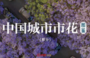 中国部分城市市花图鉴