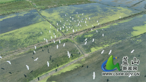 微信图片_202204111713224.jpg 微信图片_202204111713224.jpg