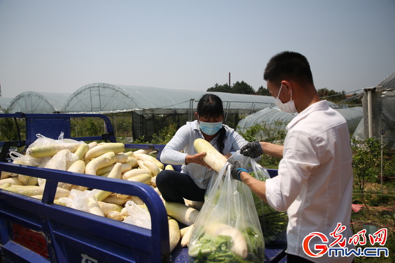 【组图】“守沪者联盟”丨江西峡江：10吨爱心蔬菜驰援上海