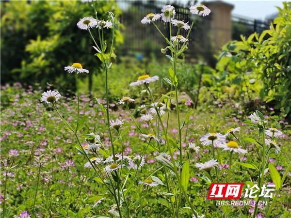 微信图片_20220412160056.jpg 微信图片_20220412160056.jpg