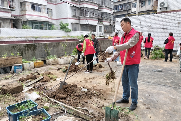 公共阳台菜园整治现场_副本.jpg