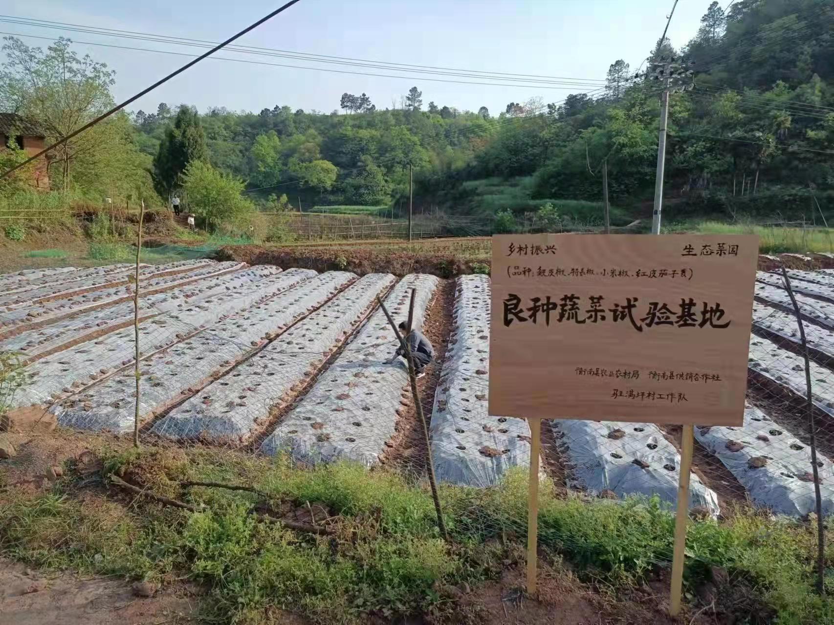 微信图片_20220413152734.jpg