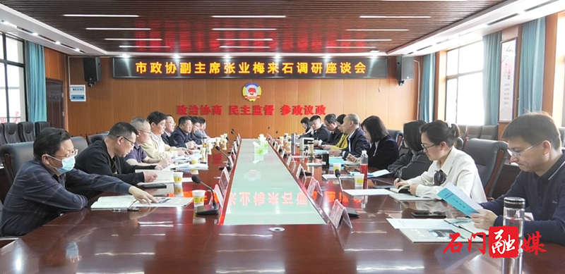 张业梅座谈会全景.jpg