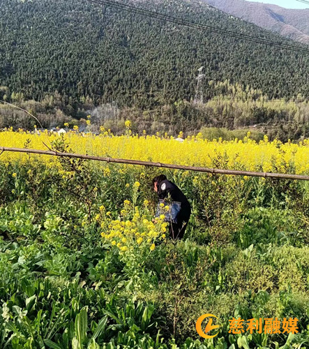 4c99473f96ee64f84da84a91ff200c2_副本.jpg