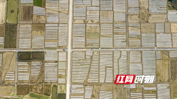 DJI_0084ps_副本.jpg