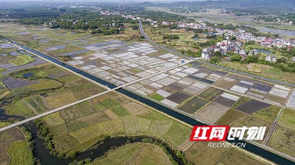 DJI_0030ps_副本.jpg