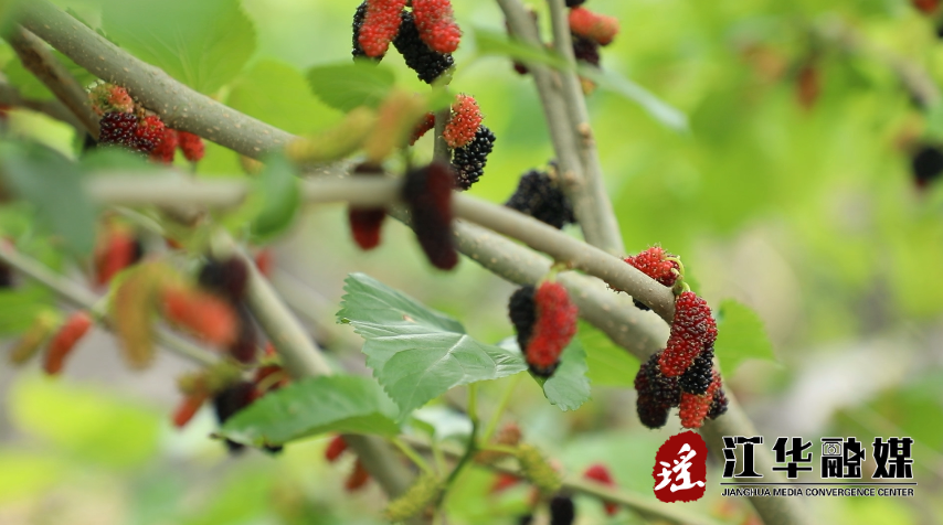 微信截图_20220415095158.png