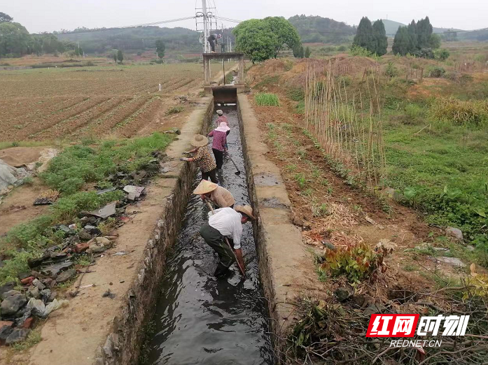 嘉禾：引得活水来 荒地变良田