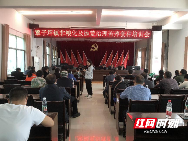 图片13.jpg
