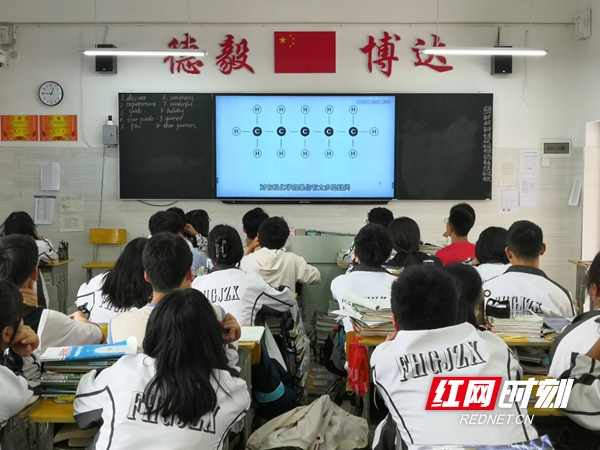 学生在欣获奖作品.jpg
