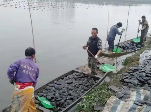 http://img.toumeiw.cn/upload/image/jpeg/20220415/1f3fa052805ddbaa7d7e0cd5aea70b10.jpg