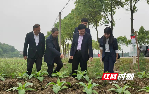 微信图片_20220415103229_副本.jpg