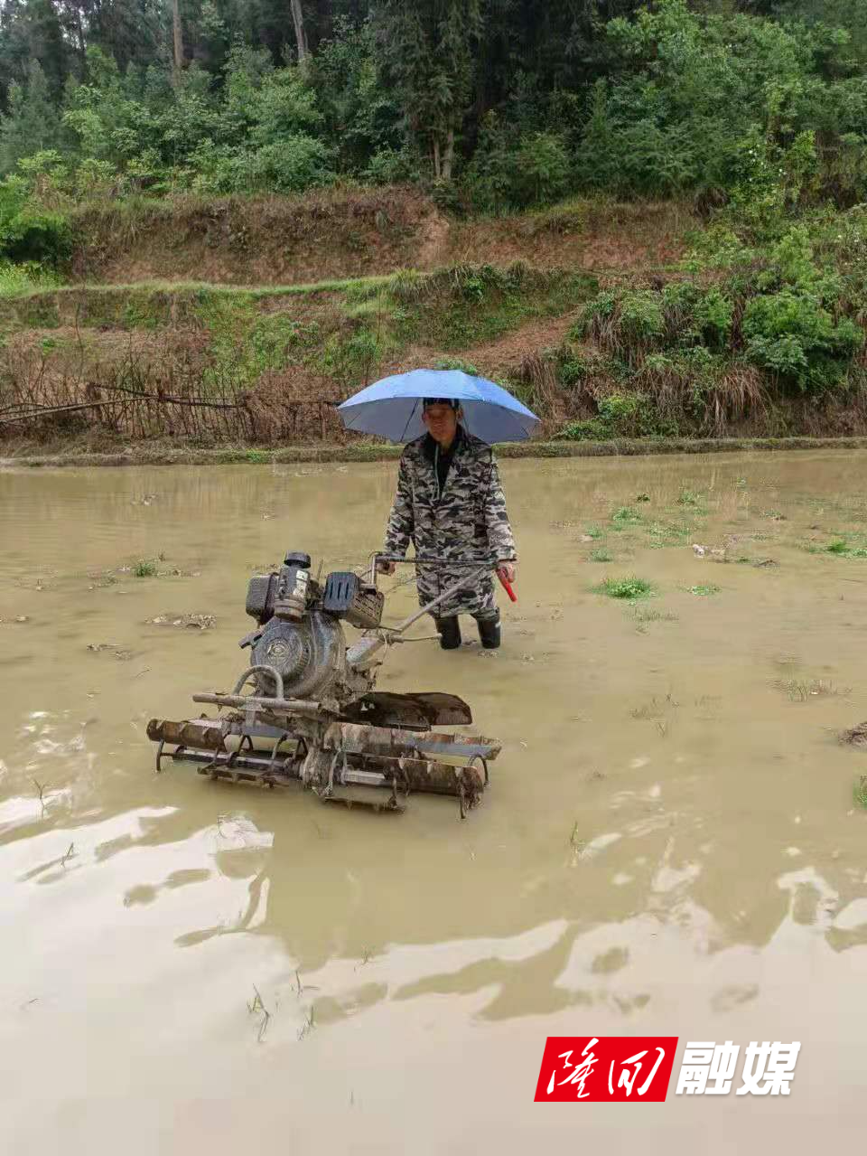 微信图片_20220415134355.jpg 微信图片_20220415134355.jpg