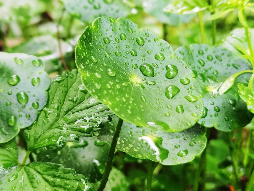 湖南周末阴雨持续天气湿凉 各地最高气温仅10℃出头