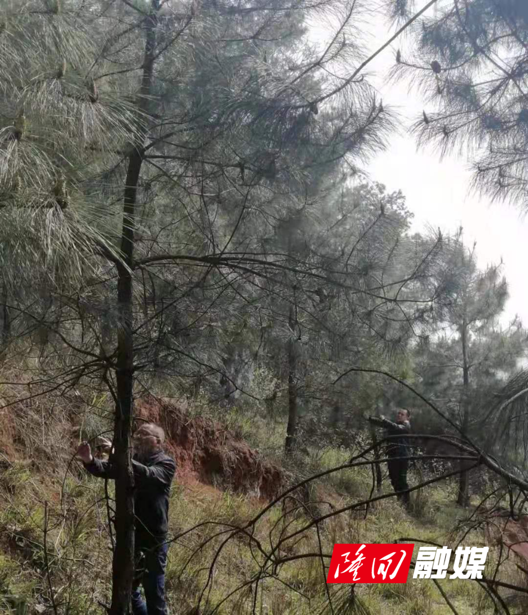 微信图片_20220416100154.jpg